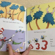 Dr Seuss - I Can Read with My Eyes Shut!
